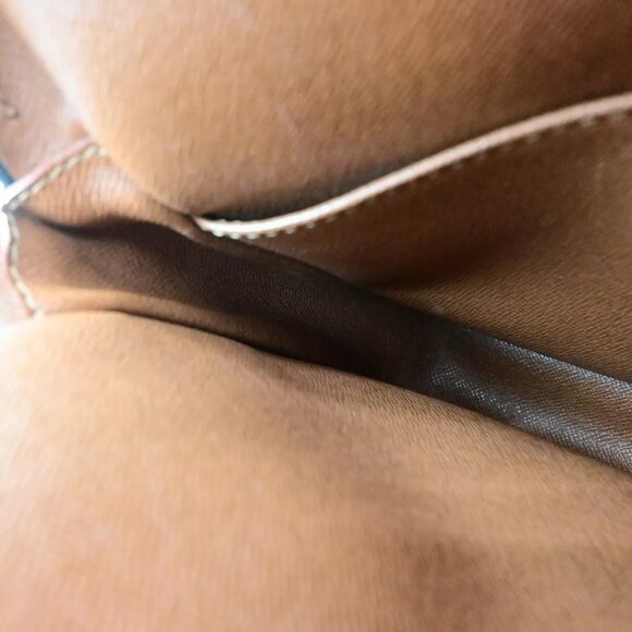 LOUIS VUITTON Amazon Crossbody Shoulder Bag Monogram Leather BN - Picture 9 of 16